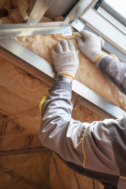 Best Insulation Installation Services in Mount Plymouth, FL