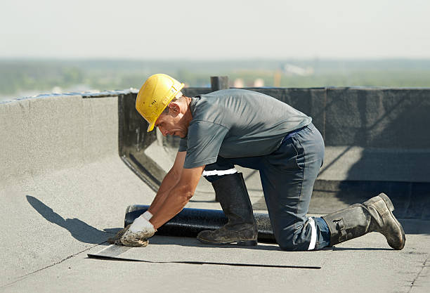 Best Insulation for Specific Applications in Mount Plymouth, FL