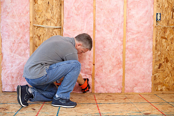 Best Specialty Insulation in Mount Plymouth, FL