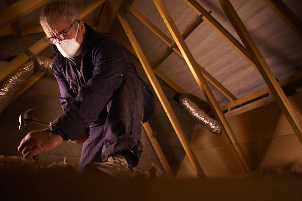 Best Insulation for Specific Applications in Mount Plymouth, FL